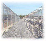 fence.jpg