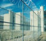 fence2.jpg
